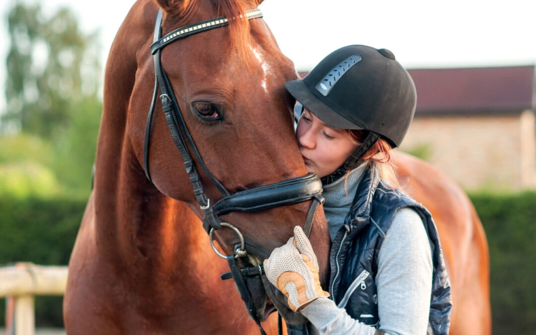 How to Prepare for an Equine Session